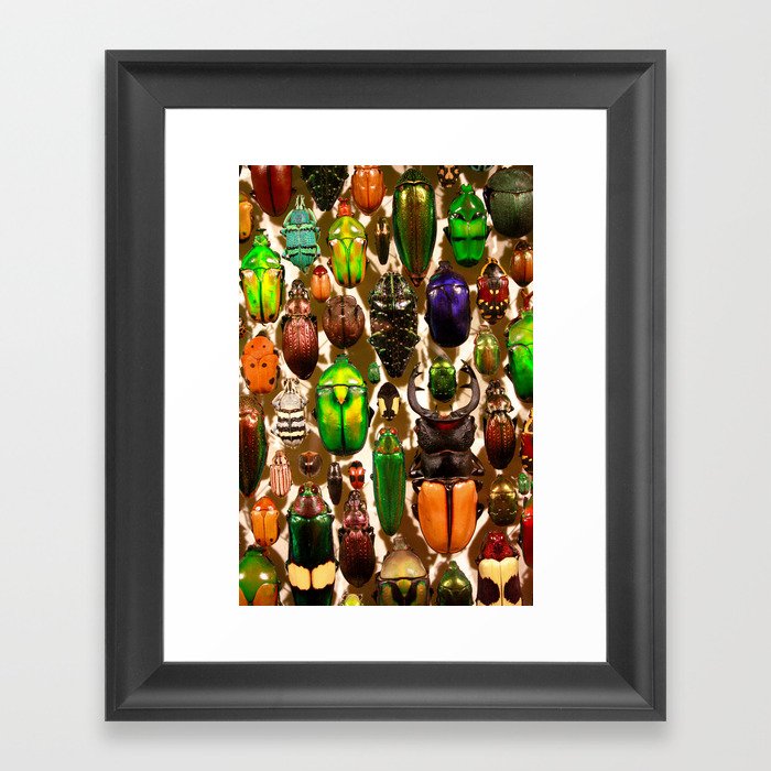 The Collection Framed Art Print