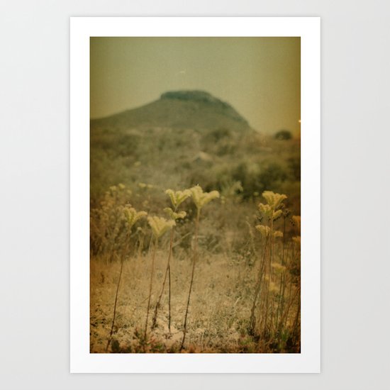 dry heat Art Print