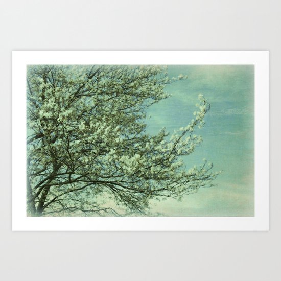 Blossom Dream Art Print