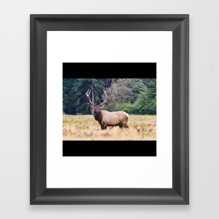 Deer Hunting Framed Art Print