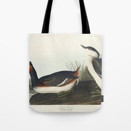 Least Stormy-Petrel from Birds of America (1827) by John James Audubon etched by William Home Lizars Tote Bag