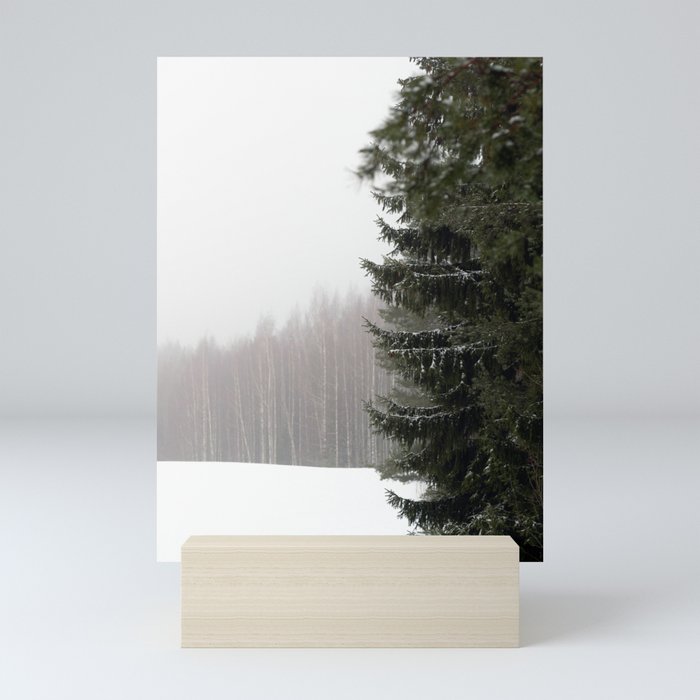 Pine Tree in Winter Landscape Finland Mini Art Print