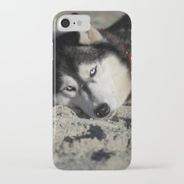 beautiful husky puppy playing on the beach iPhone Case