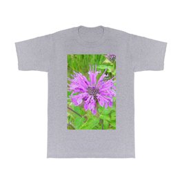 Watercolor Flower, Wild Bergamot 01, Boulder, Colorado, Bee Balm! T Shirt | Bergamot, Painting, Flower, Estes, Bee, Rocky, Mountain, Colorado, Boulder, Park 