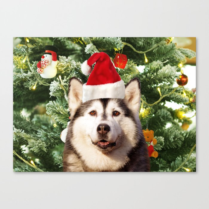 Mountain Home Arkansas Husky Christmas 2022 Santa Hat Siberian Husky Christmas Tree Snowman Gift Box Canvas Print By  Aashiarsh | Society6