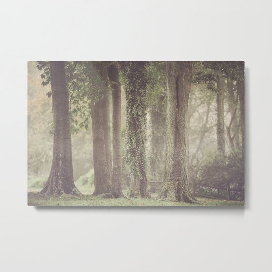 Enchanted Metal Print