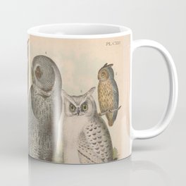 Naturalist Owls Mug