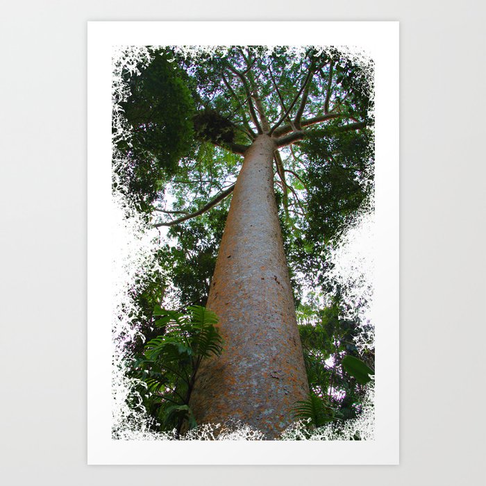 not just another tree Art Print