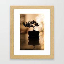 Bonsai Framed Art Print