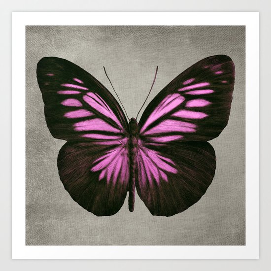 Papillon (Pink) Art Print