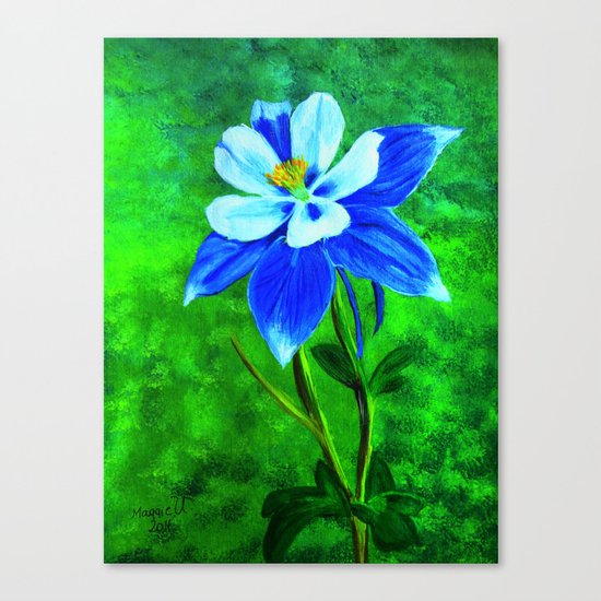 Blue columbine Canvas Print