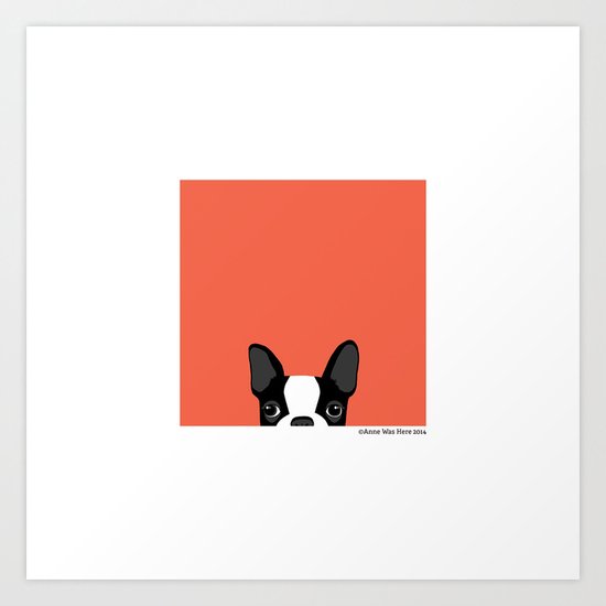 Boston Terrier Art Print