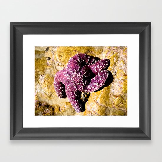 Purple Star Framed Art Print