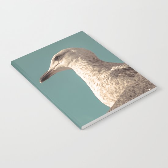 Waiting for Summer Notebook