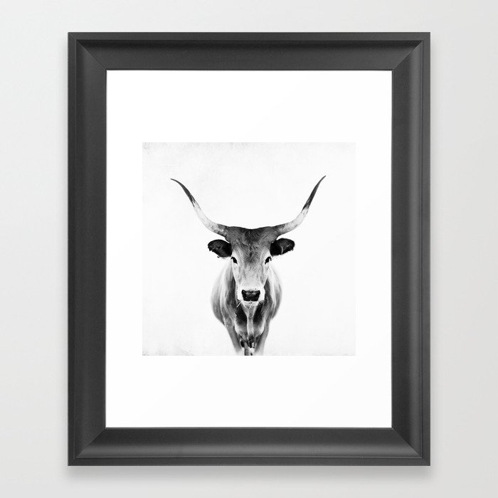 Wild Longhorn Cow Print - Black White Cow Portrait - Animal - Travel photograpy Framed Art Print