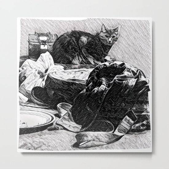 Baxter | The Cat That Lives With Me Metal Print