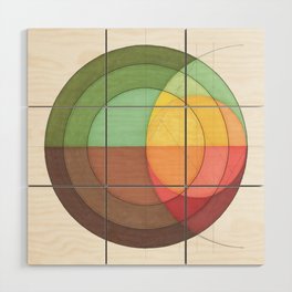 Concentric Circles Forming Equal Areas Wood Wall Art