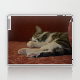 Cat Paws Laptop & iPad Skin