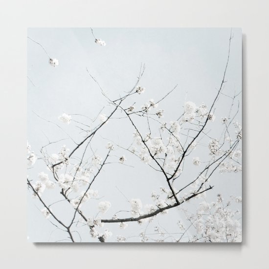 Ode to Cherry Blossoms Metal Print