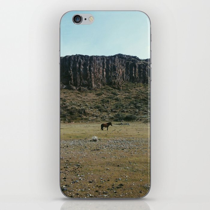 Rock Pasture Pony iPhone Skin