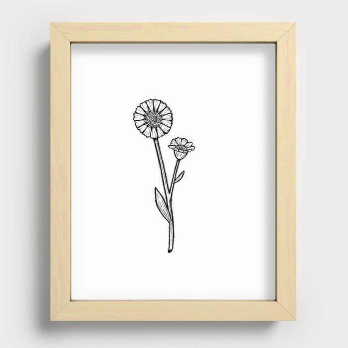 Desert Sunflower Recessed Framed Print