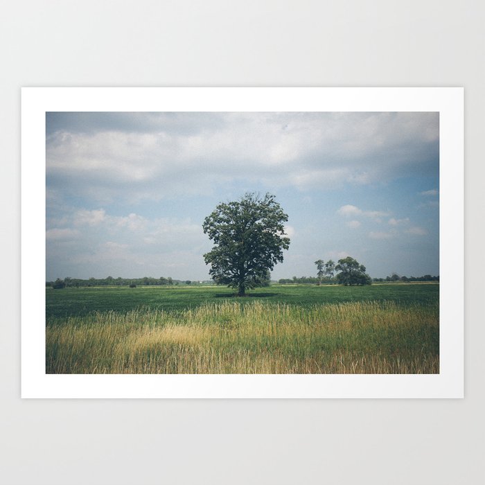 Large Tree in Field with Hay Art Print