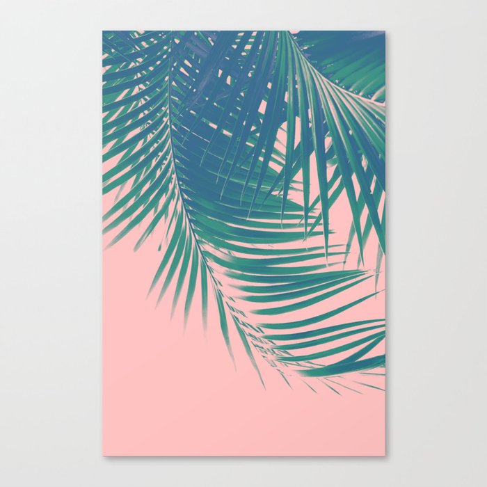 Palm Leaves Blush Summer Vibes 2 Tropical Decor Art Society6 Canvas Print By Anitabellajantz Society6 Palm Leaves Blush Summer Vibes 2 Tropical Decor Art Society6 Canvas Print By Anitabellajantz Society6