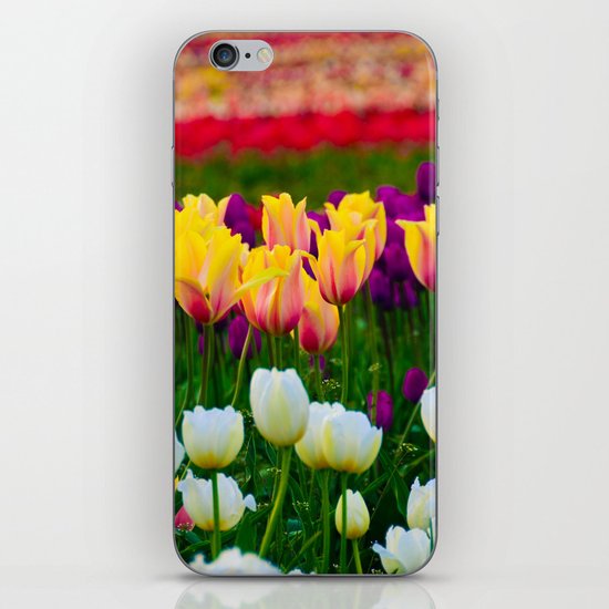 Fields of Color III, Woodburn Tulip Festival iPhone & iPod Skin