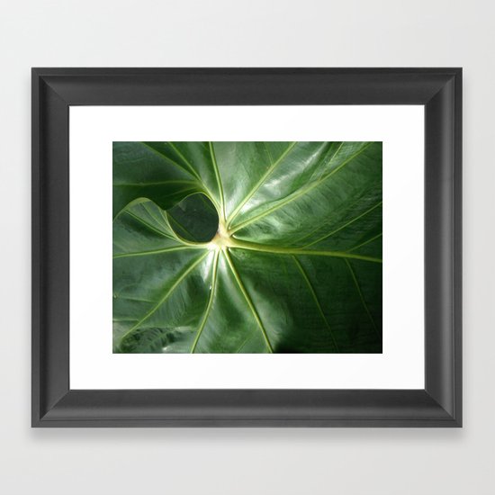 Nature's Circles Framed Art Print
