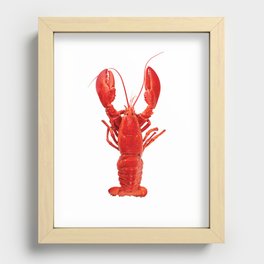 Atlantic Lobster 3 Recessed Framed Print