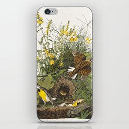 Meadow Lark from Birds of America (1827) by John James Audubon iPhone Skin