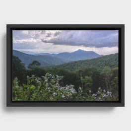 Smoky Mountain Wildflower Adventure - Nature Photography Framed Canvas
