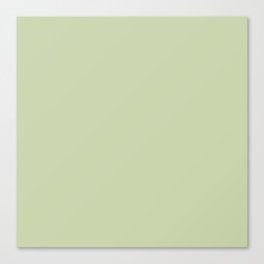 Baize green Canvas Print