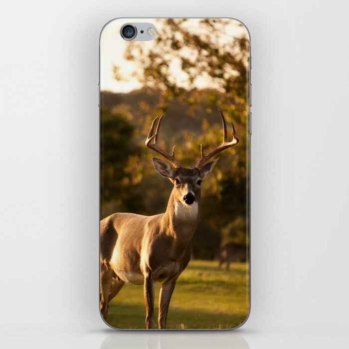 Deer iPhone Skin