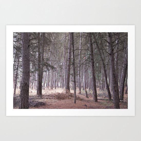Magical light in the forest Art Print