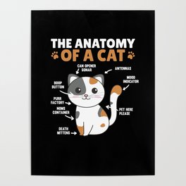 The Anatomy Of A Cat Funny Explanation Of A Cat Poster