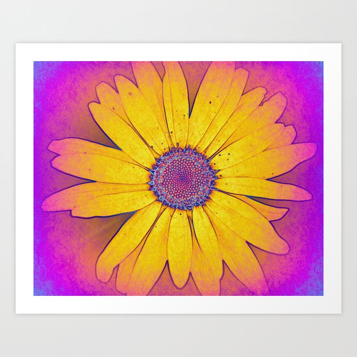Yellow Hippie Daisy  Art Print