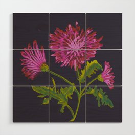 chrysanthemum illustration, vintage flower on dark background Wood Wall Art