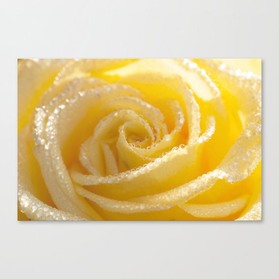 Yellow Romance - Yellow Rose with sparkling waterdrops - Roses Canvas Print