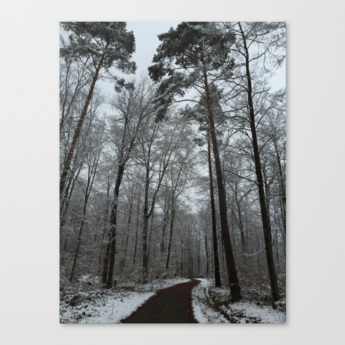 Snow Canvas Print