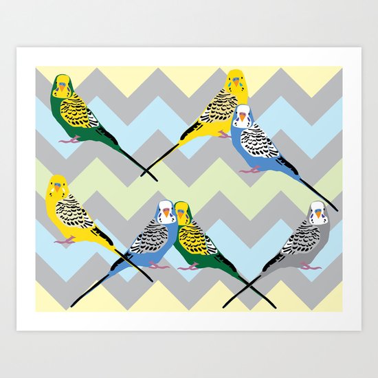 Parakeets Looking at You - Chevron Art Print