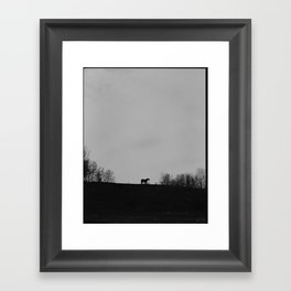 horse, upstate new york Framed Art Print
