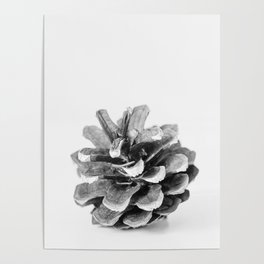 Winter Pine Cone  Poster