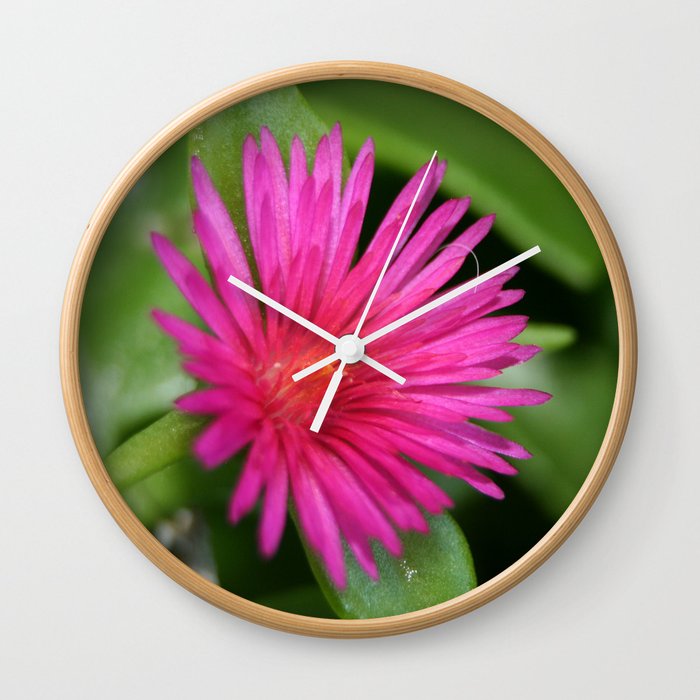 Succulent Carpet Weed And Pink Flower Wall Clock