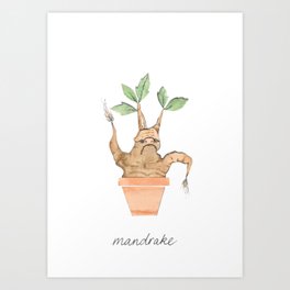 Mandrake Art Print