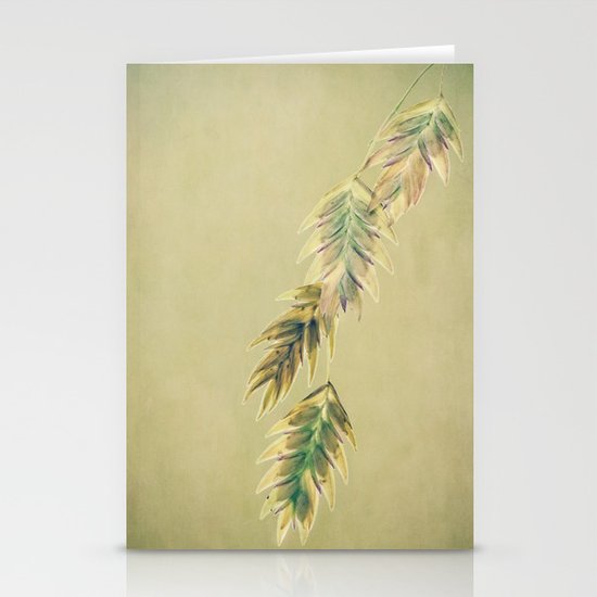 pastel Stationery Cards