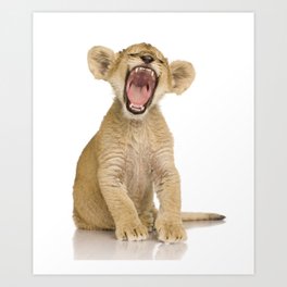 Baby Lion Art Prints For Any Decor Style Society6 Woodland nursery decor boy, woodland animal nursery, woodland nursery prints, modern woodland nursery art set of 6 woodland prints or canvas this is an baby animals art print poster safari animals picture lion zebra elephant giraffe canvas painting kids room nursery wall decor. baby lion art prints for any decor