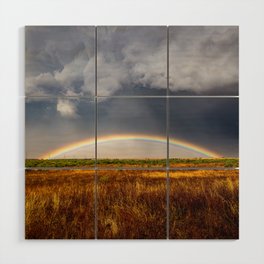 Vibrant Horizon - Brilliant Rainbow Low on the Horizon Under Storm Clouds on Stormy Spring Day in Texas Wood Wall Art