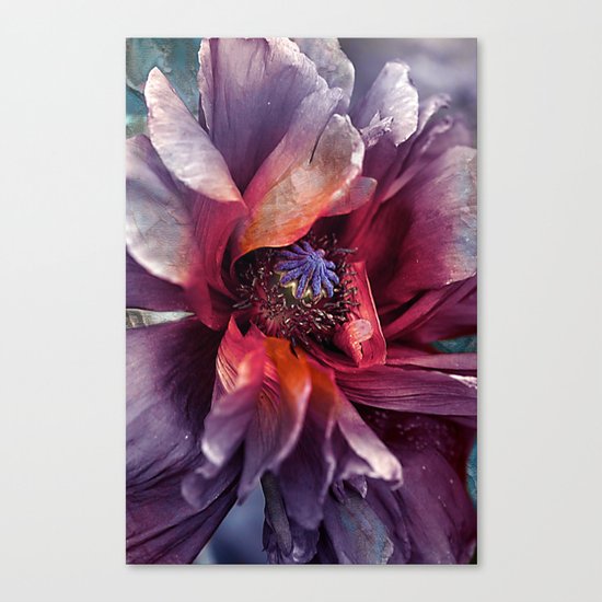 Abstract poppy(2). Canvas Print