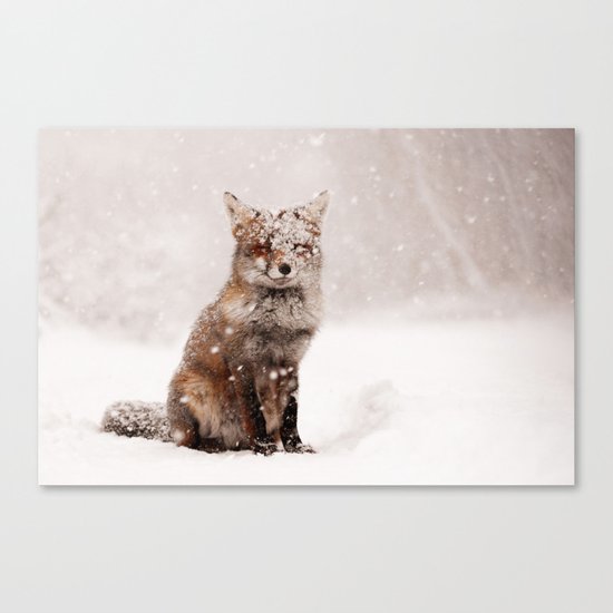 Fairytale Fox _ Red Fox in a Snow Storm Canvas Print